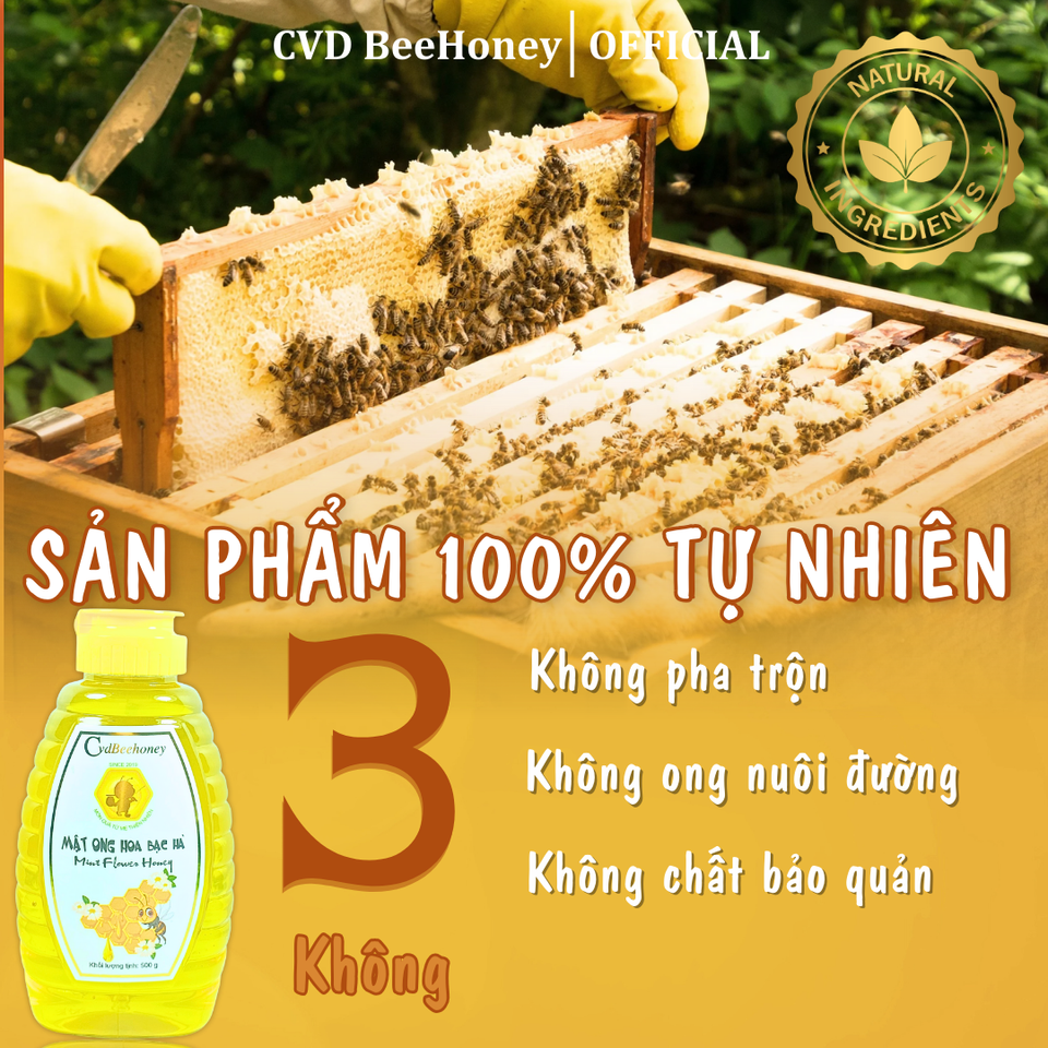 Mật Ong Nguyên Chất CvdBeehoney 100% Từ Hoa Bạc Hà - Tăng Sức Đề Kháng, Giảm Ho, Hỗ Trợ Làm Đẹp Tự Nhiên