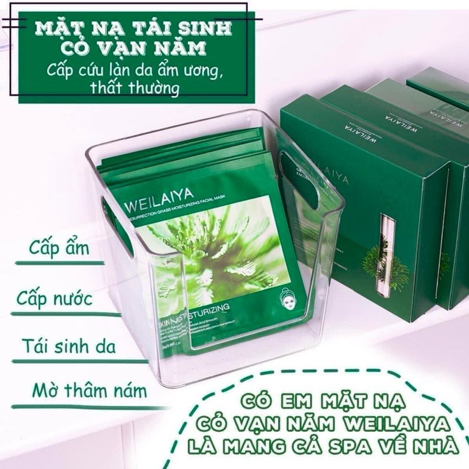 Mặt Nạ Trắng Da Hồng Weilaiya - Essence Whitening Chống Lão Hóa (Hộp 10 Miếng) - Dưỡng Sáng và Trẻ Hóa Da Sau 20 Ngày