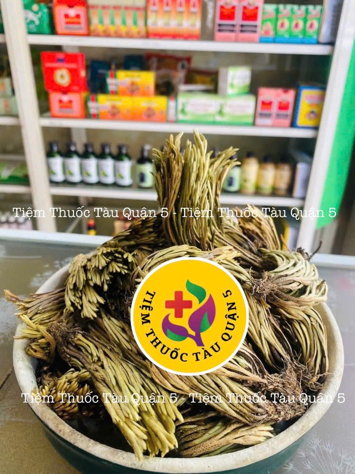 Cây Trường Sinh Móng Lưng Rồng 1kg - Thực Phẩm Khô Giúp Chữa Nóng Trong Người, Đau Nhức, Bỏng Lửa, Xuất Xứ Việt Nam.