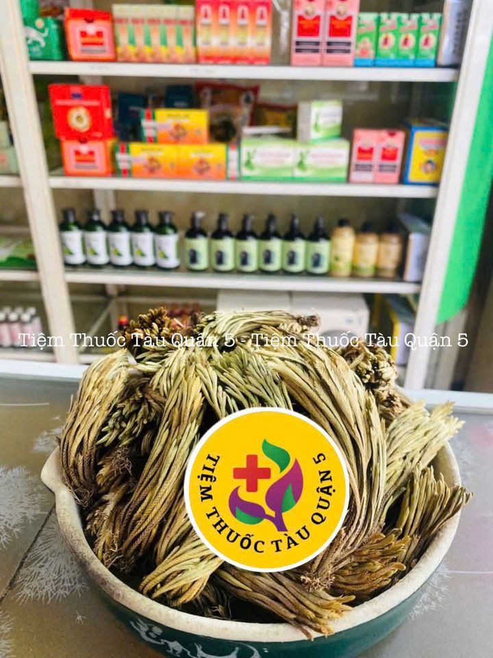 Cây Trường Sinh Móng Lưng Rồng 1kg - Thực Phẩm Khô Giúp Chữa Nóng Trong Người, Đau Nhức, Bỏng Lửa, Xuất Xứ Việt Nam.