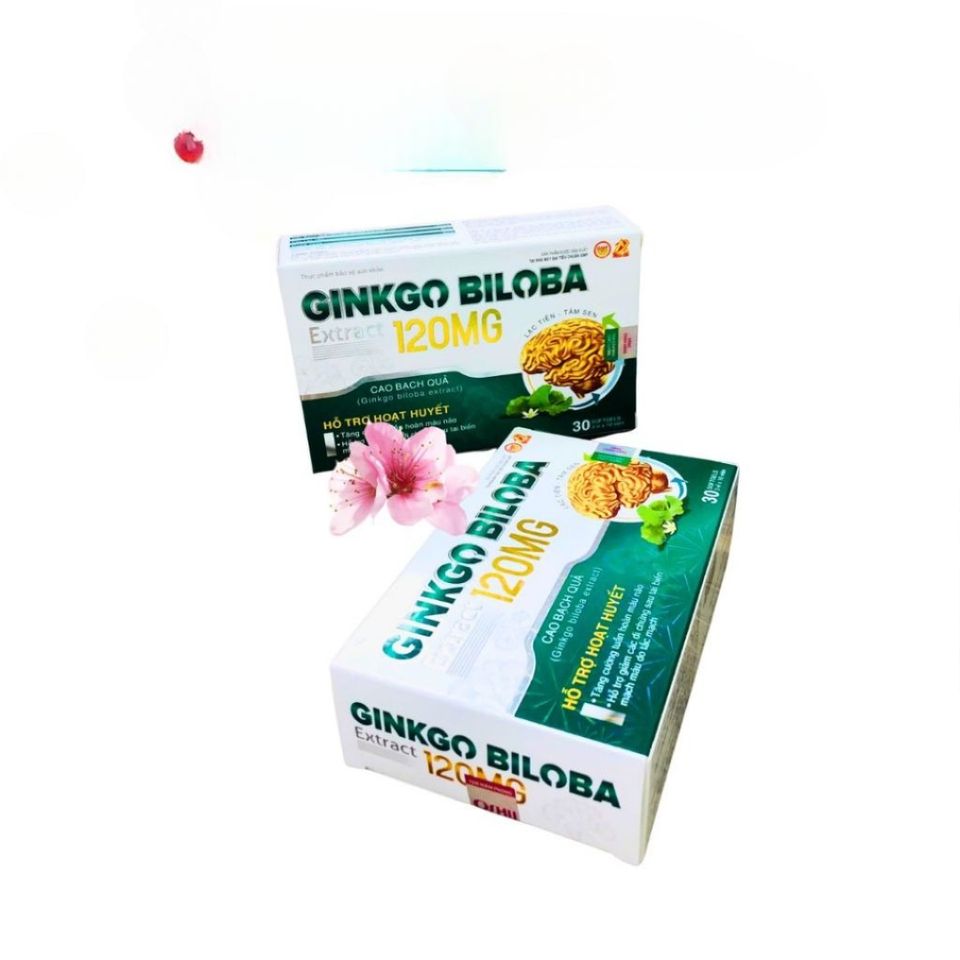 Viên Uống Ginkgo Biloba 120mg - Hỗ Trợ Bổ Não, Tăng Cường Tuần Hoàn Máu Não - Hộp 30 Viên Duy Trì Sức Khỏe Tinh Thần