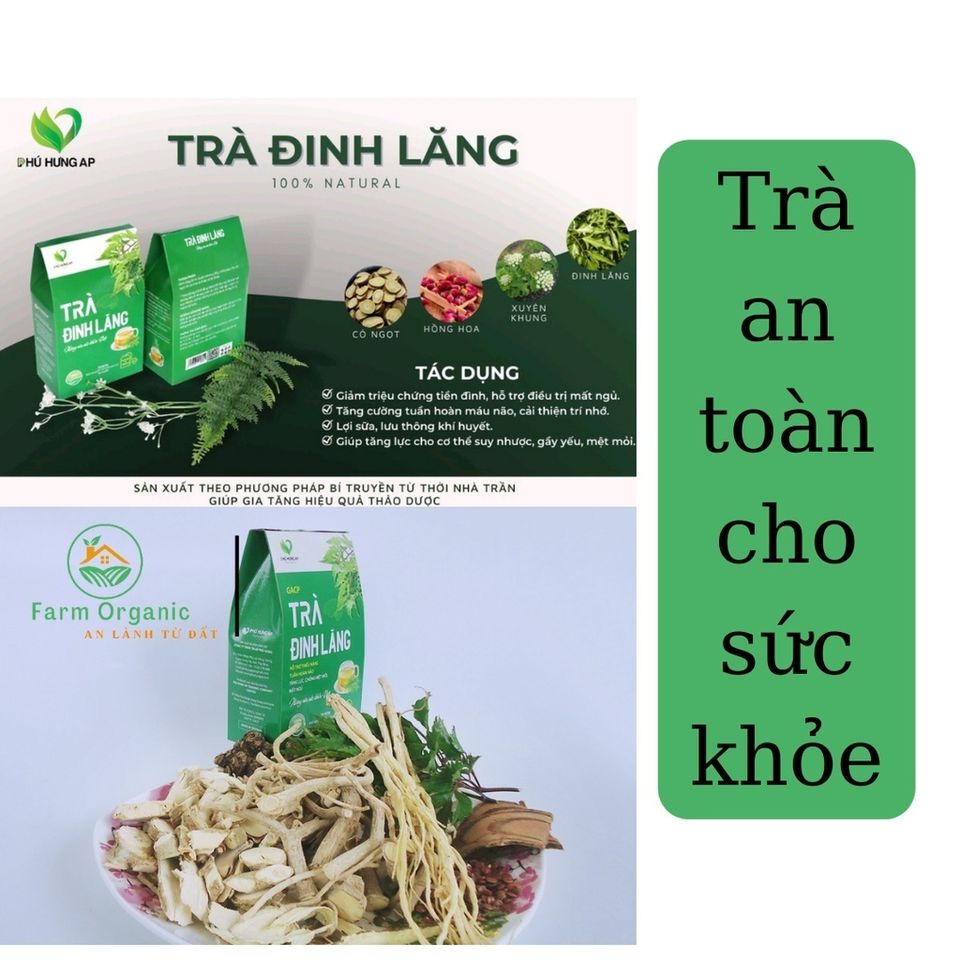 Trà Đinh Lăng Phú Hưng AP - Hỗ trợ Hoạt Huyết, An Thần, Lợi Sữa - Trà Túi Lọc Thảo Dược Tự Nhiên 125g
