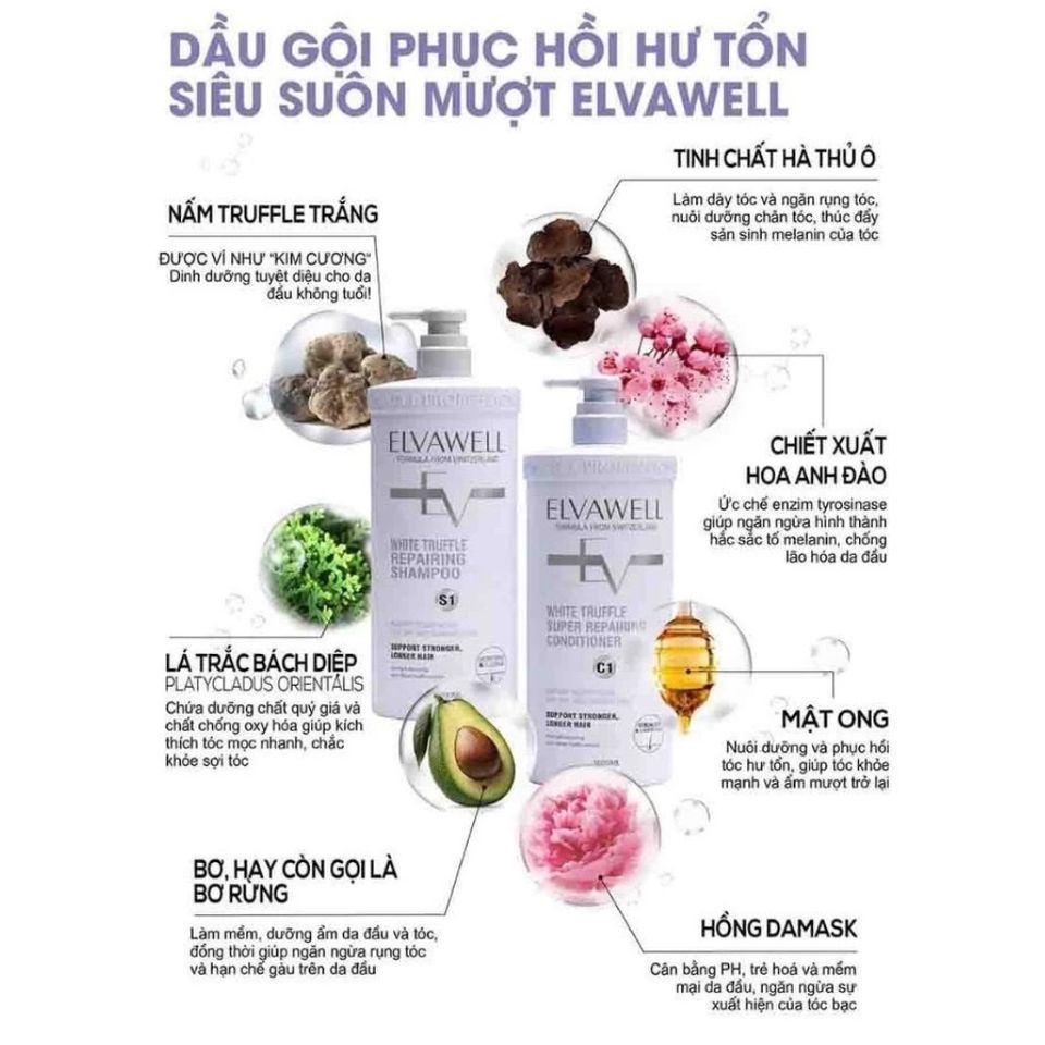 Bộ Dầu Gội Xả Nấm Truffle Elvawell 1000ml - Phục Hồi Tóc Hư Tổn, Giảm Gàu, Kiểm Soát Dầu Bết, Dưỡng Mềm Mượt