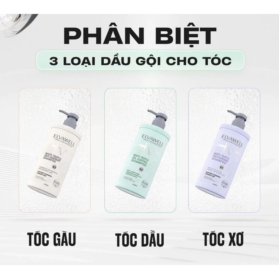 Bộ Dầu Gội Xả Nấm Truffle Elvawell 1000ml - Giảm Gàu, Kiểm Soát Dầu Bết, Phục Hồi Tóc Hư Tổn, Dưỡng Mềm Mượt
