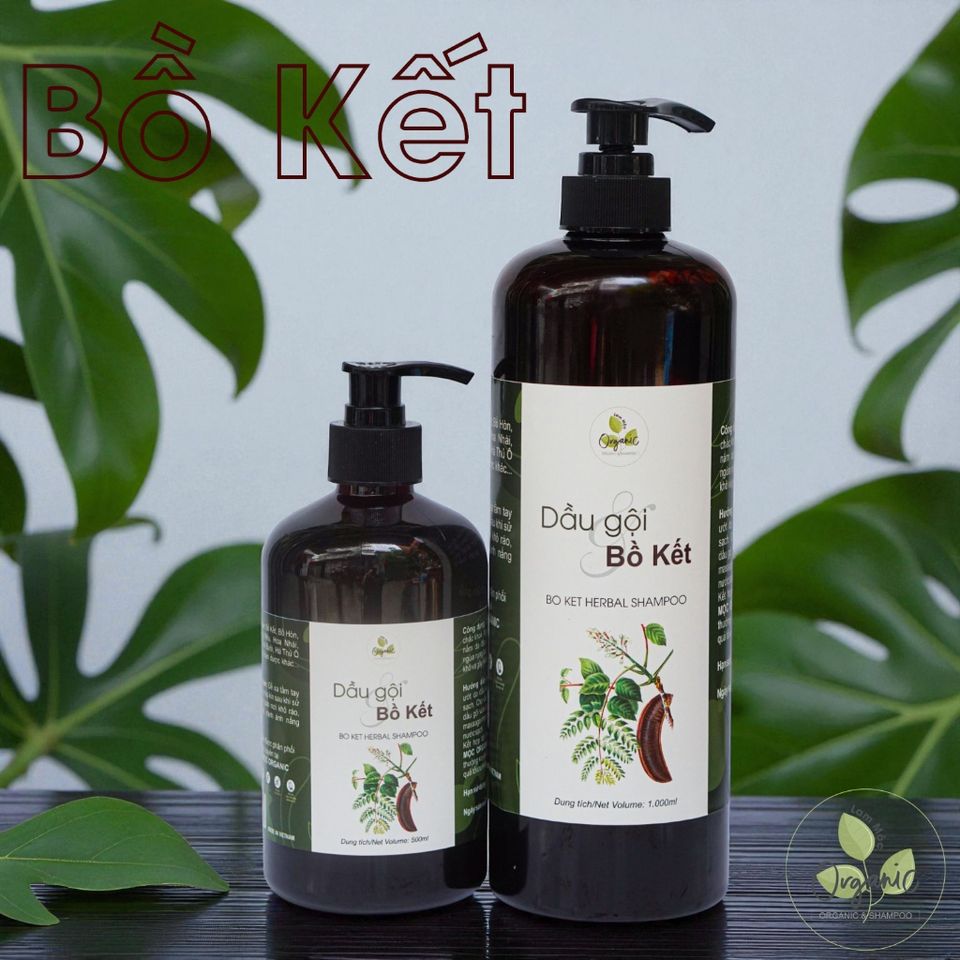 Dầu Gội Thảo Mộc Bồ Kết Lam Mộc - Giảm Gãy Rụng, Kích Thích Mọc Tóc, An Toàn Cho Nam Nữ, Không Silicone, Không Paraben, Tóc Bóng Mượt