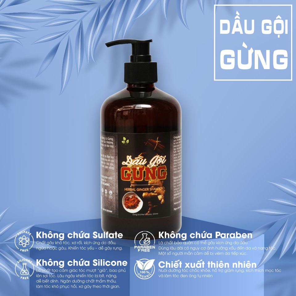 Combo Dầu Gội Gừng & Dầu Xả Sữa Dừa Lam Mộc – Chăm Sóc Tóc Hư Tổn, Giảm Rụng, Kích Mọc Tóc Khỏe Mạnh, An Toàn Cho Da Đầu Nhạy Cảm