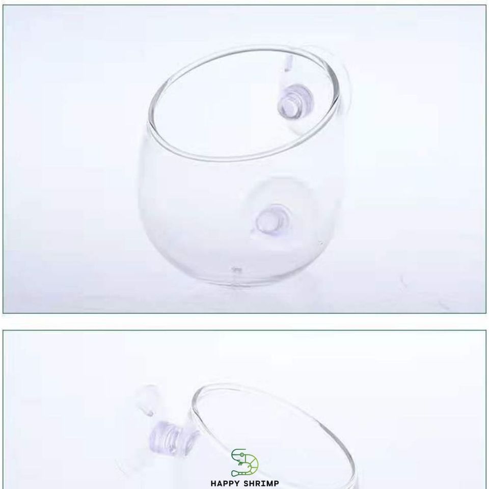 Cốc Thủy Tinh Trồng Cây - Cốc Treo Hồ Cá Thủy Sinh Sang Trọng, Thích Hợp Trồng Cây Ráy và Trầu 09