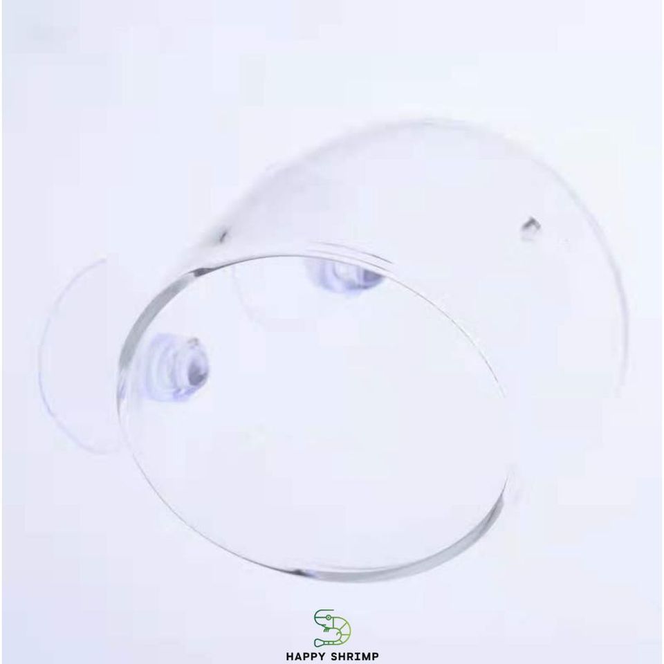 Cốc Thủy Tinh Trồng Cây - Cốc Treo Hồ Cá Thủy Sinh Sang Trọng, Thích Hợp Trồng Cây Ráy và Trầu 09