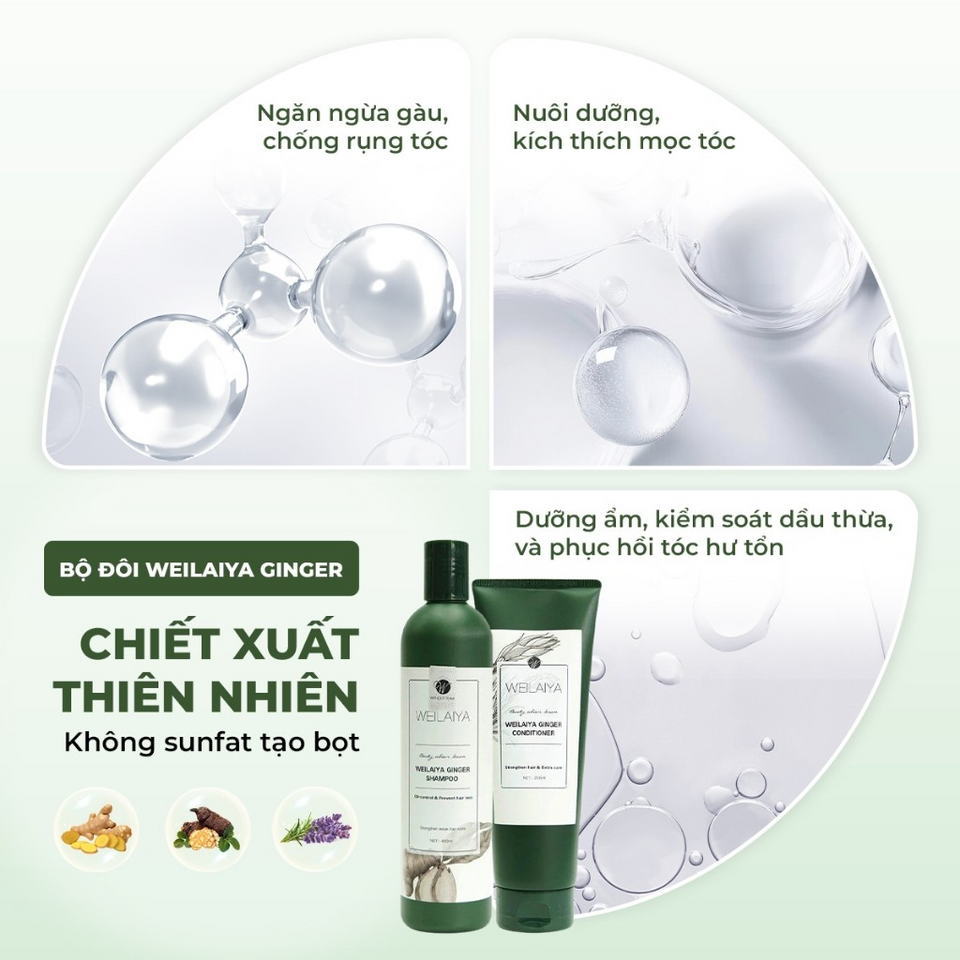 Dầu Gội Xả Weilaiya Gừng Trắng 400ml - Chống Rụng Tóc, Kích Mọc Tóc, Dưỡng Ẩm, Phục Hồi Tóc Hư Tổn