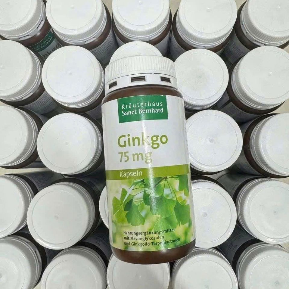 Viên Uống Bổ Não Ginkgo 75mg Sanct Bernhard 240 Viên – Hỗ Trợ Tuần Hoàn Não, Giảm Đau Đầu, Tăng Cường Trí Nhớ cho Người Cao Tuổi