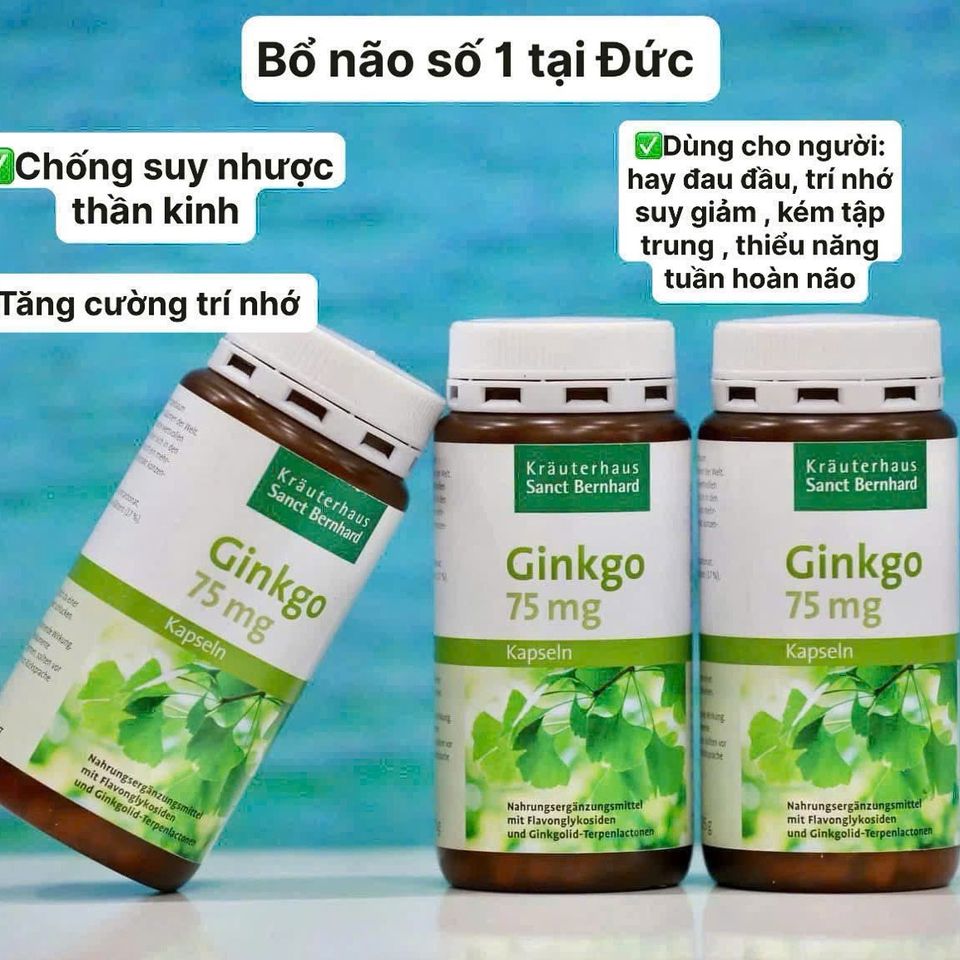 Viên Uống Bổ Não Ginkgo 75mg Sanct Bernhard 240 Viên – Hỗ Trợ Tuần Hoàn Não, Giảm Đau Đầu, Tăng Cường Trí Nhớ cho Người Cao Tuổi