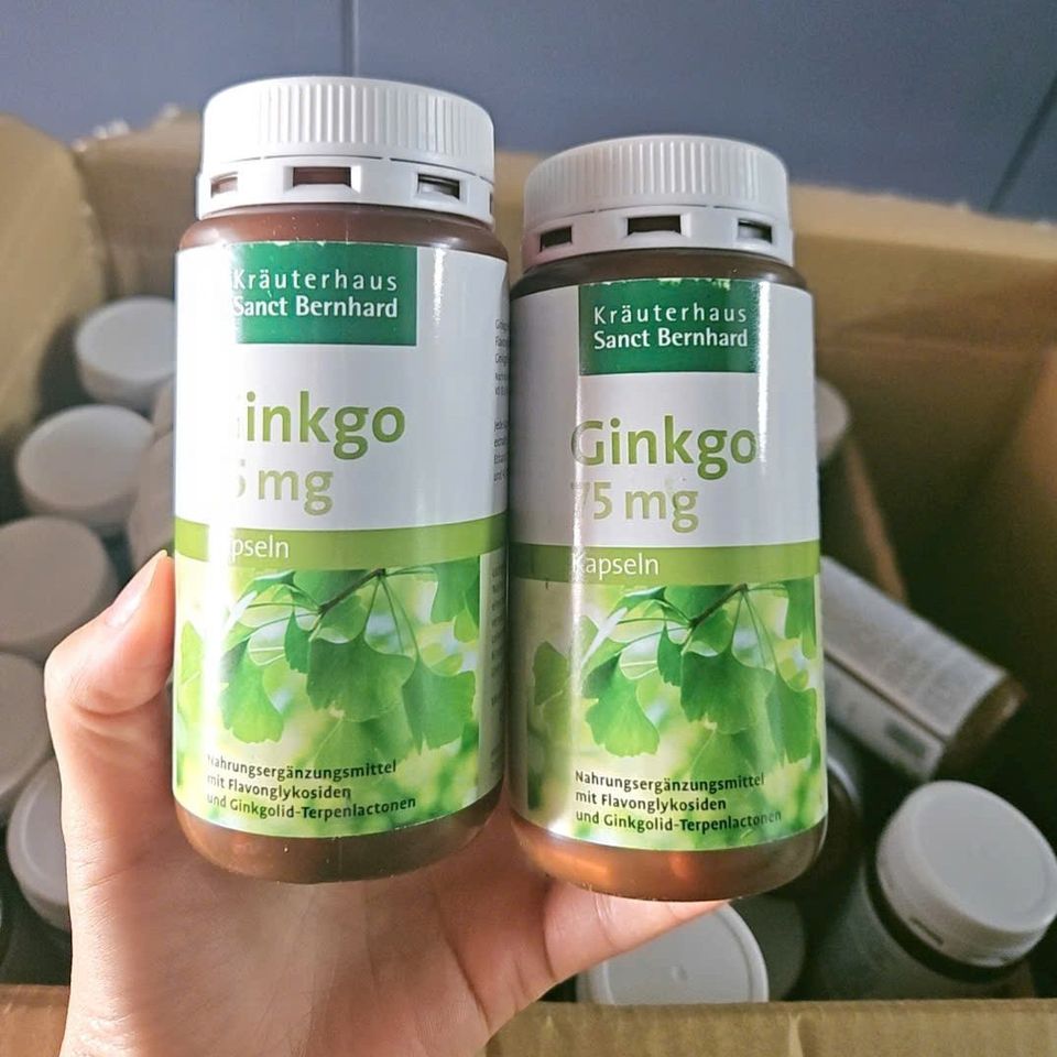 Viên Uống Bổ Não Ginkgo 75mg Sanct Bernhard 240 Viên – Hỗ Trợ Tuần Hoàn Não, Giảm Đau Đầu, Tăng Cường Trí Nhớ cho Người Cao Tuổi