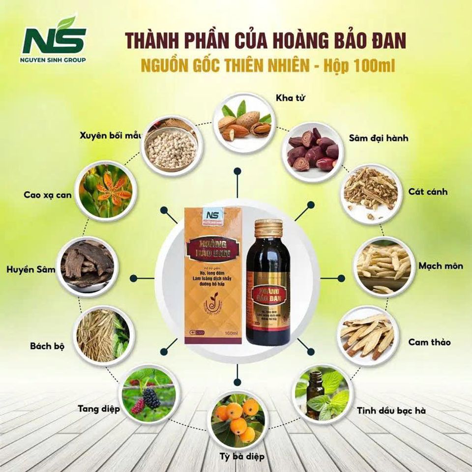 Cao ho Hoàng Bảo Đan 100ml - Hỗ trợ giảm ho, long đờm, bổ phế cho trẻ em và gia đình, tăng cường sức khỏe đường hô hấp