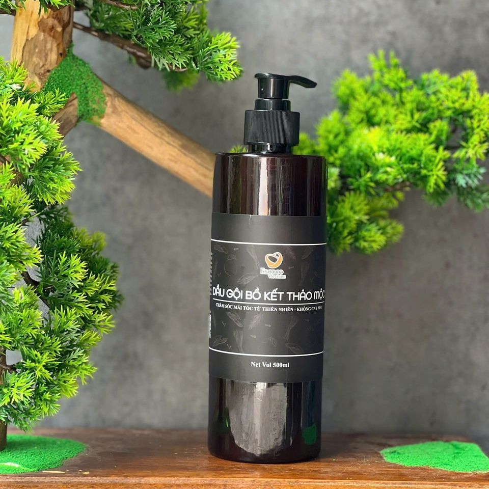 Dầu Gội Bồ Kết Escoco 500ml - Chứa Vỏ Bưởi, Gừng, Bạc Hà Nhật, Hương Nhu - Chăm Sóc Tóc Tự Nhiên