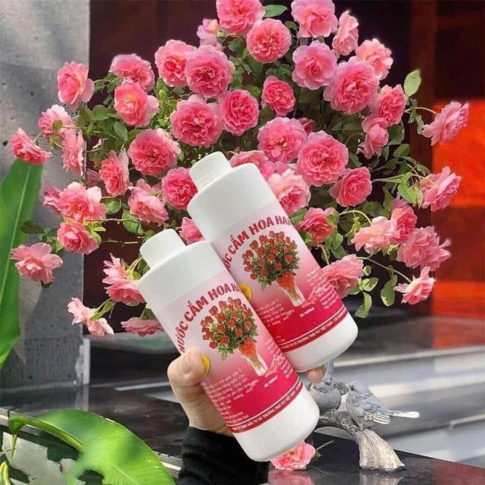 Nước Cắm Hoa Tươi HAMILK 400ml - Giúp Hoa Tươi Lâu, Không Thối Nước, Tiết Kiệm Thời Gian và Chi Phí Cắm Hoa