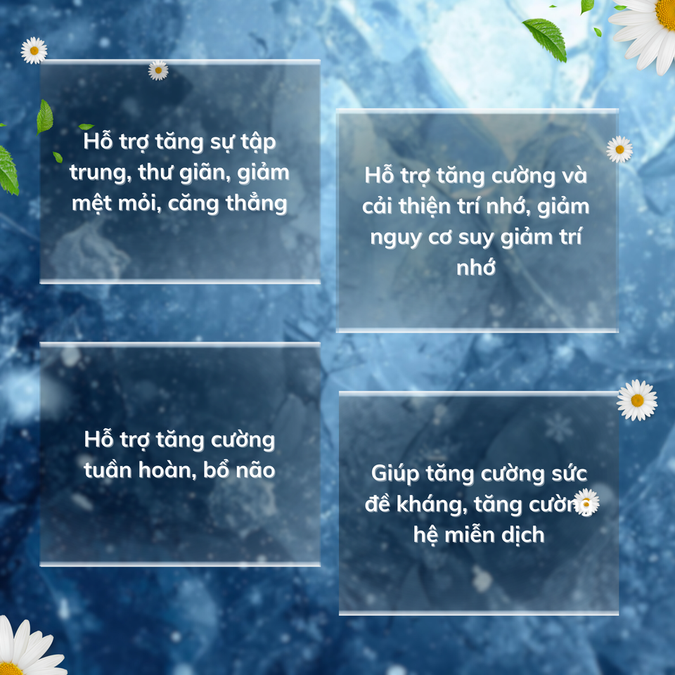 MindEnergy Max - Viên Uống Tăng Cường Trí Nhớ, Hỗ Trợ Lưu Thông Máu Não, Giảm Căng Thẳng, Tinh Thần Sảng Khoái