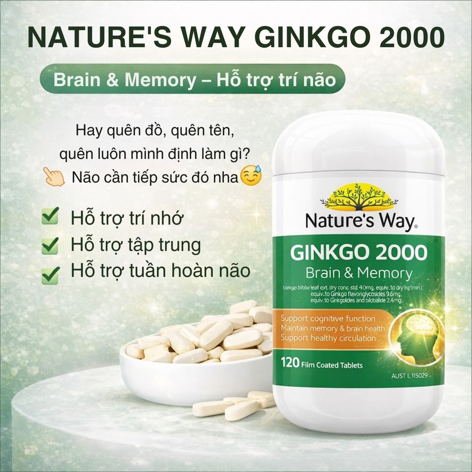 Viên Uống Bổ Não Nature's Way Ginkgo 2000 Úc - Tăng Cường Trí Nhớ và Tập Trung, Hỗ Trợ Tuần Hoàn Não Khỏe Mạnh