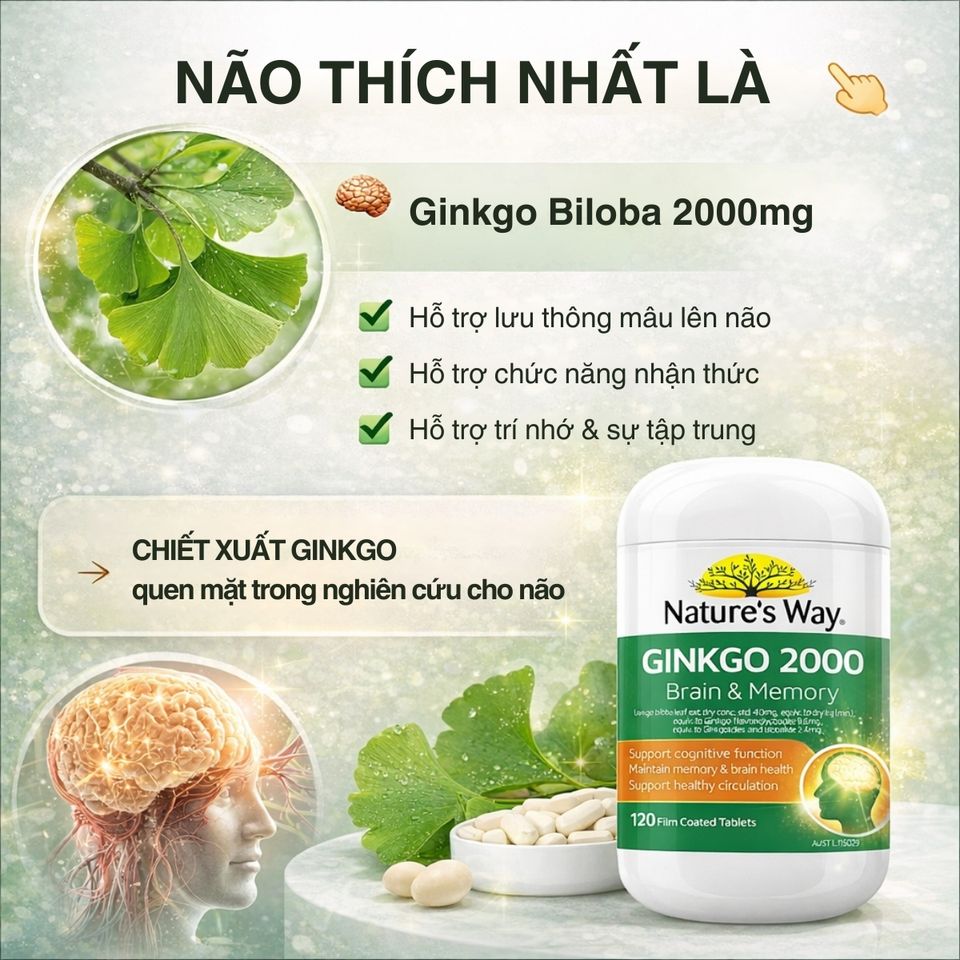 Viên Uống Bổ Não Nature's Way Ginkgo 2000 Úc - Tăng Cường Trí Nhớ và Tập Trung, Hỗ Trợ Tuần Hoàn Não Khỏe Mạnh