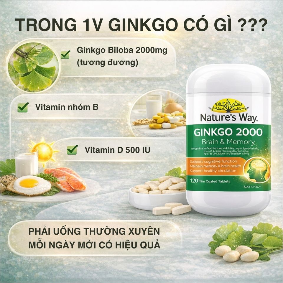 Viên Uống Bổ Não Nature's Way Ginkgo 2000 Úc - Tăng Cường Trí Nhớ và Tập Trung, Hỗ Trợ Tuần Hoàn Não Khỏe Mạnh