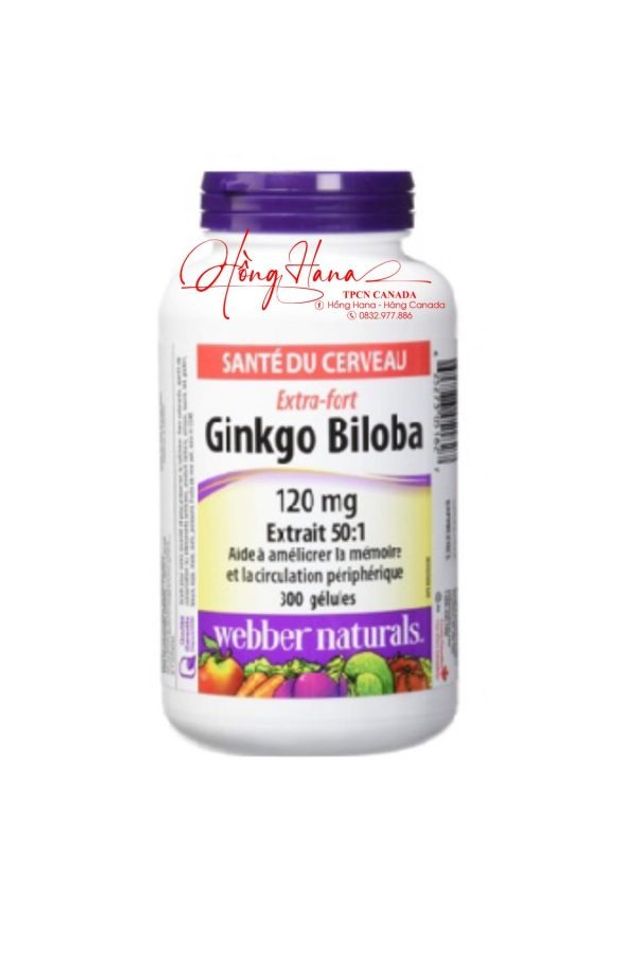 (Fullbox) Viên uống bổ não Ginkgo biloba 6000mg Webber Naturals - Cải thiện trí nhớ và sự tập trung - Sản phẩm chính hãng từ Mỹ