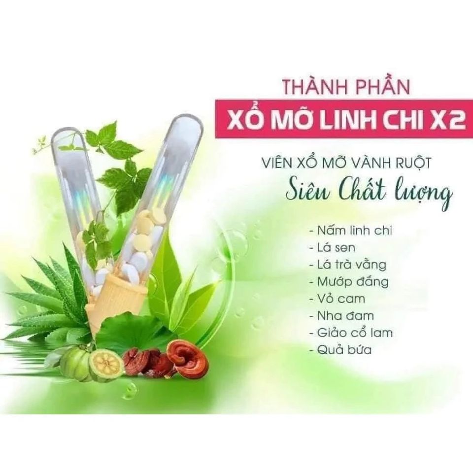 Xổ Mỡ Vàng Ruột Linh Chi Đỏ, Hỗ Trợ Giảm Cân Giảm Mỡ Bụng Hiệu Quả, 1 Hộp 10 Viên