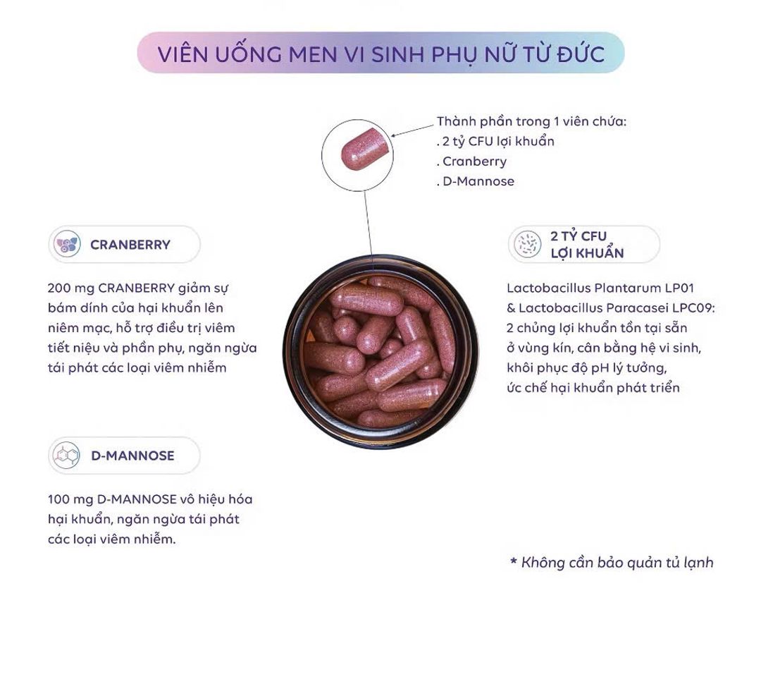 (Đức) Men Phụ Khoa Lactobact Intima Bổ Sung Lợi Khuẩn Hỗ Trợ Viêm Phụ Khoa
