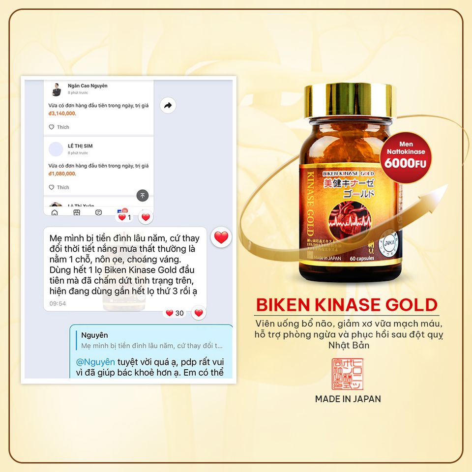 Biken Kinase Gold Hộp - Viên uống bổ não, giảm xơ vữa mạch máu, hỗ trợ phòng ngừa và phục hồi sau đột quỵ