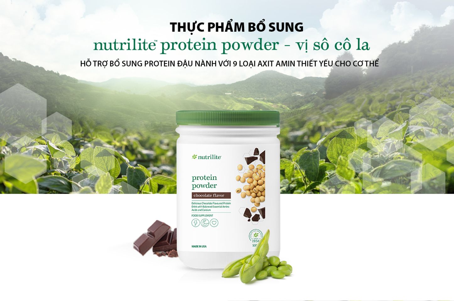 Thực Phẩm Bổ Sung Nutrilite Protein Powder - Vị Sô Cô La 642783