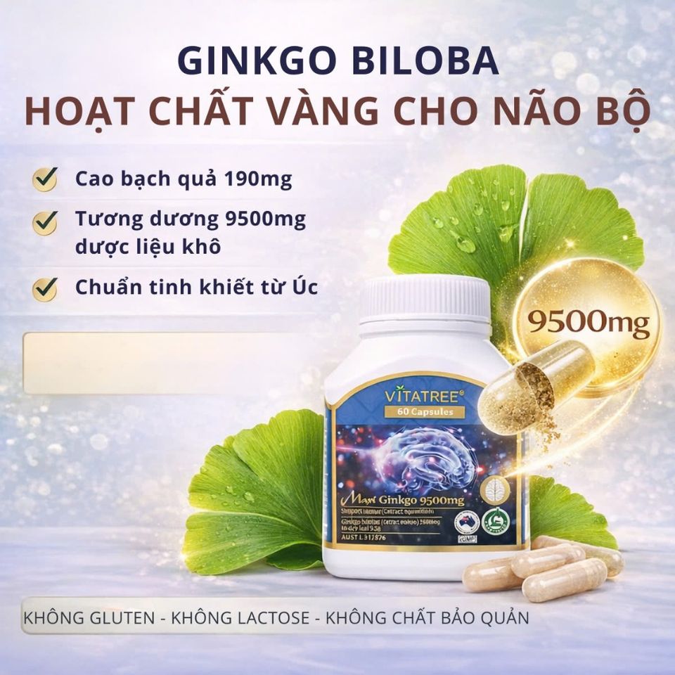 Viên Uống Bổ Não Vitatree Ginkgo Plus 9500 + CoQ10 50mg – Hỗ Trợ Trí Nhớ, Tuần Hoàn Não – 60 Viên