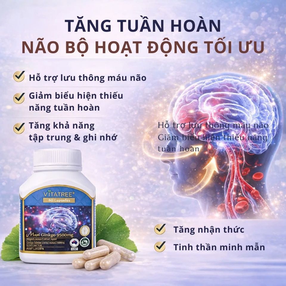 Viên Uống Bổ Não Vitatree Ginkgo Plus 9500 + CoQ10 50mg – Hỗ Trợ Trí Nhớ, Tuần Hoàn Não – 60 Viên