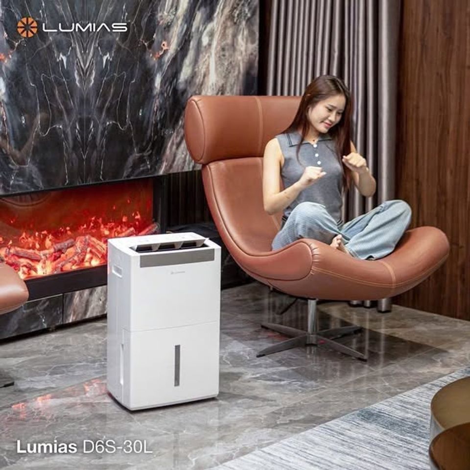 Máy hút ẩm kiêm lọc không khí 30L Lumias D6S-30L