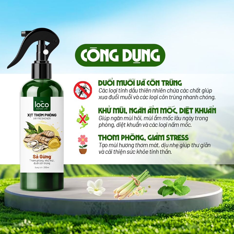 Xịt Phòng Tinh Dầu Sả Gừng Khử Mùi Hôi Phòng, Toilet Nhanh Chóng, Thanh Lọc Không Khí The Loco