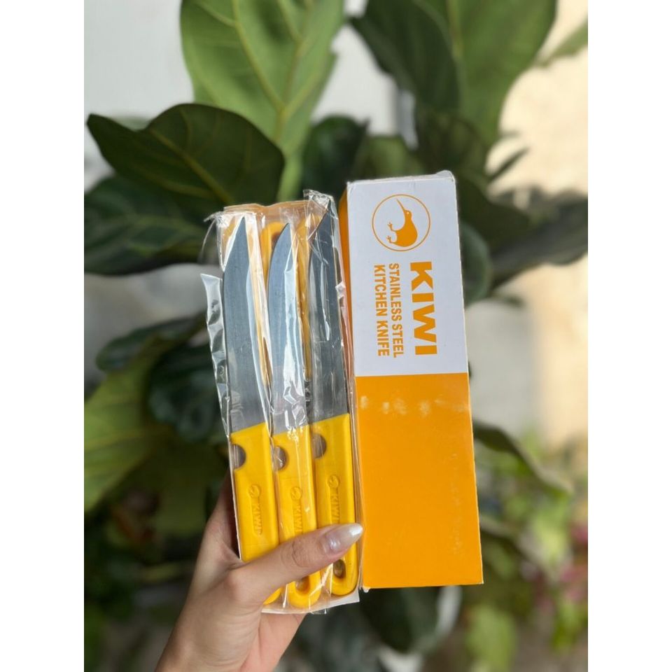 Hộp 12 dao Kiwi cán vàng đầu tròn – nhọn (TH179)