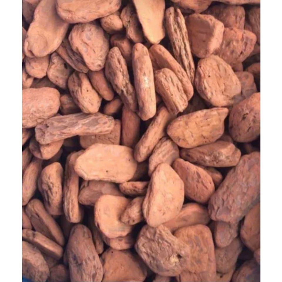 VỎ THÔNG TRỒNG LAN CHẤT LƯỢNG CAO CHO VƯỜN CÂY CẢNH (900G)