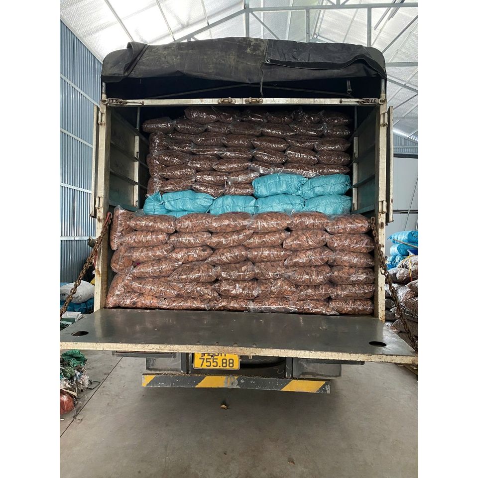 VỎ THÔNG TRỒNG LAN CHẤT LƯỢNG CAO CHO VƯỜN CÂY CẢNH (900G)