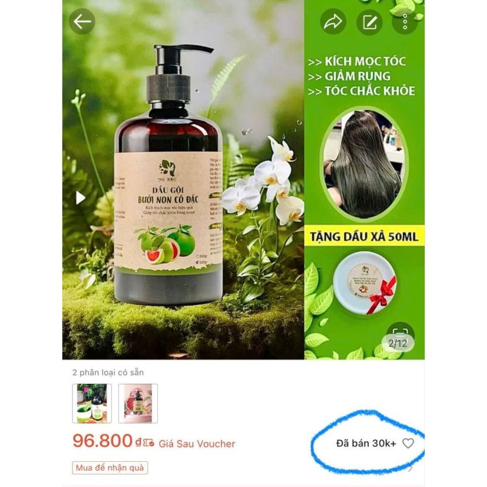 Dầu Gội Bưởi Non mọc tóc, giảm bết dầu, tóc bồng bềnh [Tặng xả tóc 50gr]