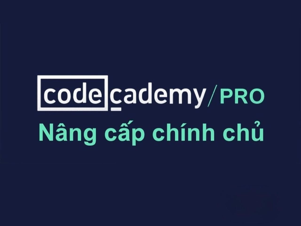 Nâng Cấp Chính Chủ Codecademy Pro 6 Tháng