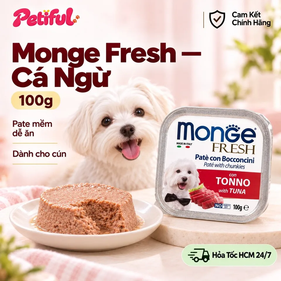 Pate Monge Fresh 100g Cho Cún - Nhiều Vị | Petiful