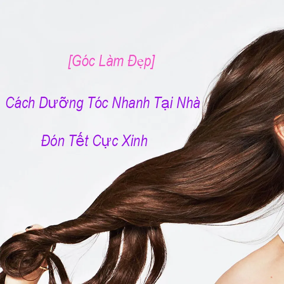 Copyright @Chiaki.vn