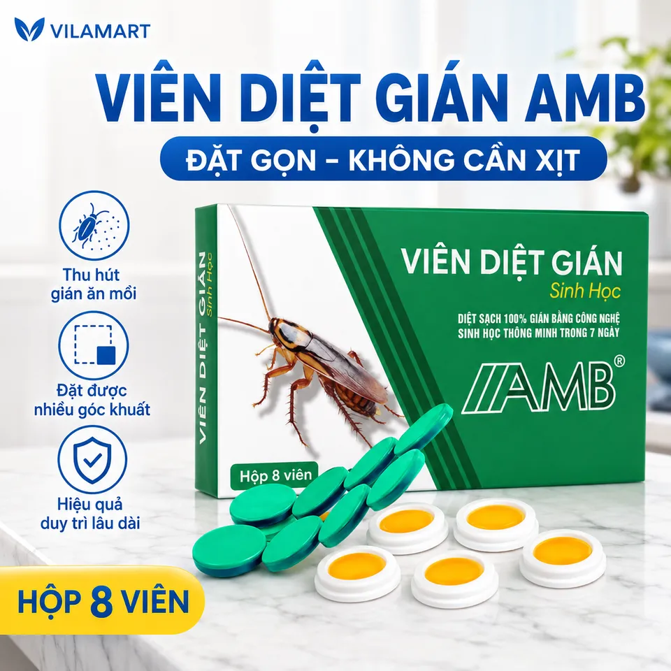 Thuốc Diệt Gián Sinh Học AMB – Diệt Nhiều Loại Gián, Dễ Sử Dụng, Hiệu Quả Cao